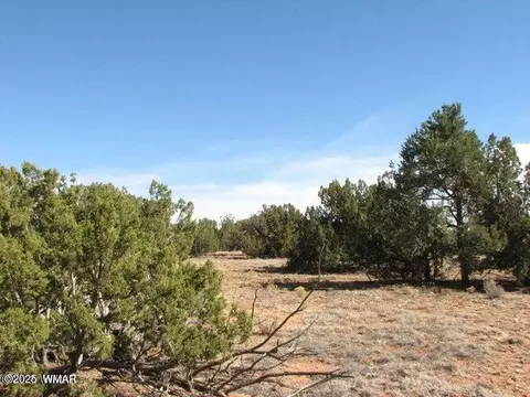 Lor 21 Chevelon Retreat #1, Heber, AZ 85928