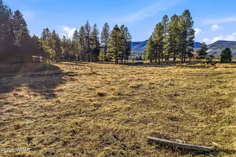 2 N 2057, Alpine, AZ 85920 photo 11
