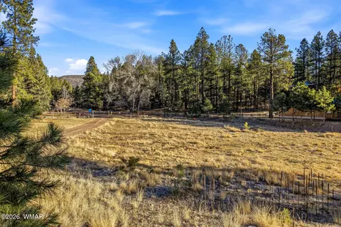 2 N 2057, Alpine, AZ 85920 photo 10