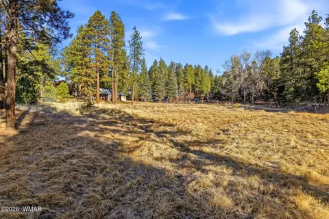 2 N 2057, Alpine, AZ 85920 photo 9