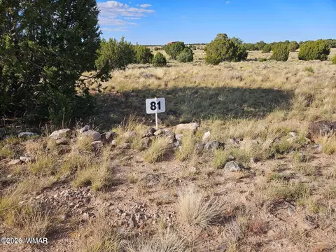 tbd Acr 8620, Concho, AZ 85924