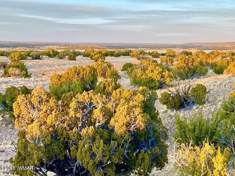 tbd Co Rd N6659 3625 Acres, Saint Johns, AZ 85936