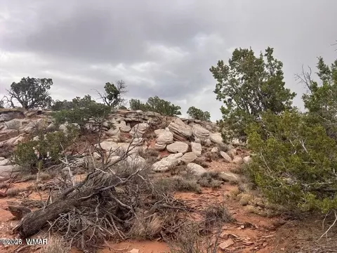 9133 Ridge View Ln, Snowflake, AZ 85937