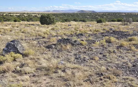 8 Concho Creek Dr # Z, Concho, AZ 85924