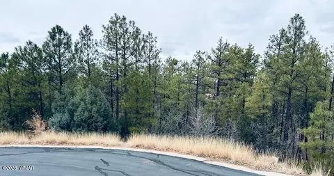 1790 W Snow Creek Trl, Show Low, AZ 85901