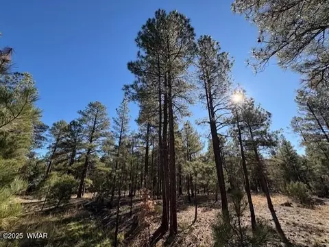 3270 W Black Oak Loop, Show Low, AZ 85901