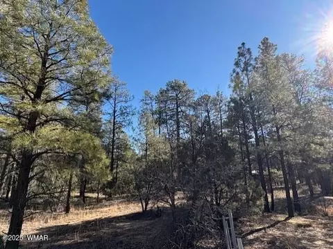 3290 W Black Oak Loop, Show Low, AZ 85901