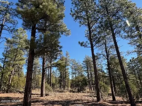 3071 W Black Oak Loop, Show Low, AZ 85901