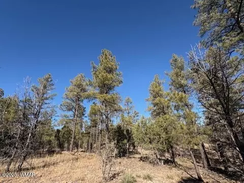 3211 W Black Oak Loop, Show Low, AZ 85901