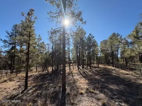 3211 W Black Oak Loop, Show Low, AZ 85901 photo 3