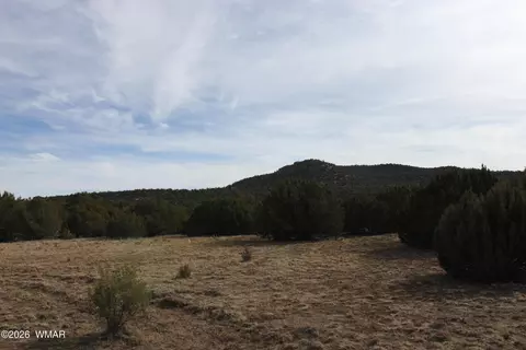 45 County Road 3035, Concho, AZ 85924