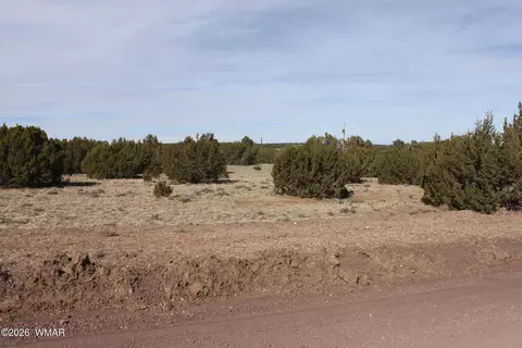53 County Road 3035, Concho, AZ 85924