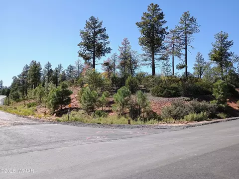 7392 Carina Ln, Lakeside, AZ 85929