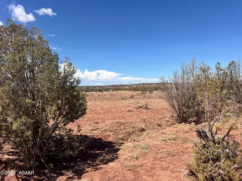 000 Paso Dr, Snowflake, AZ 85937