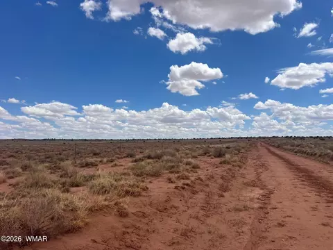 8357 Terry Trl, Snowflake, AZ 85937 photo 5