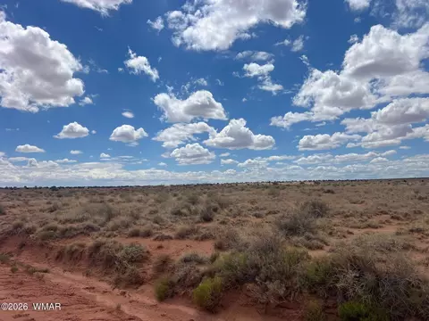 8358 Terry Trl, Snowflake, AZ 85937