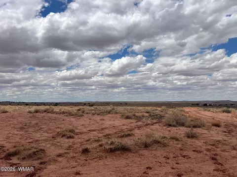 8358 Terry Trl, Snowflake, AZ 85937 photo 8