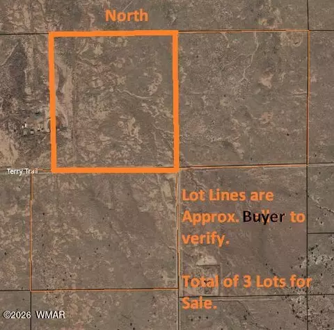 8358 Terry Trl, Snowflake, AZ 85937 photo 9