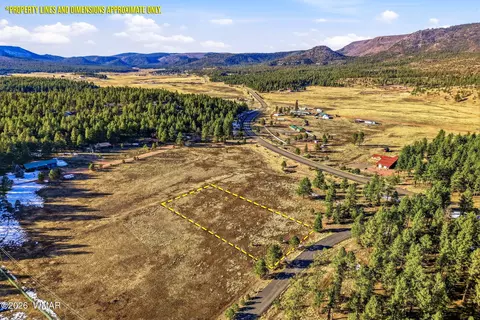 179 Co Rd 2266, Alpine, AZ 85920