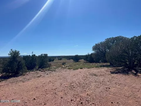 001 N9027, Concho, AZ 85924 photo 19