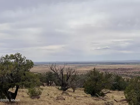 lot8 N8526, Concho, AZ 85924