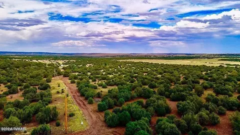tbd Co Rd N3218 37 Acres, Vernon, AZ 85940