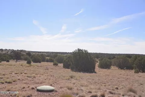 1 N9218 And 9234 Red Riv, Concho, AZ 85924