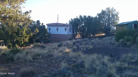 6 County Rd 5061 Ln, Concho Valley, AZ 85924