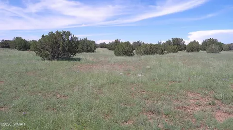 8571 Pine Ln, Snowflake, AZ 85937 photo 20