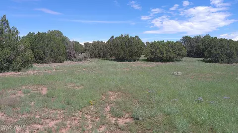 8571 Pine Ln, Snowflake, AZ 85937 photo 15