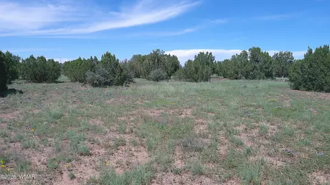 8571 Pine Ln, Snowflake, AZ 85937 photo 17