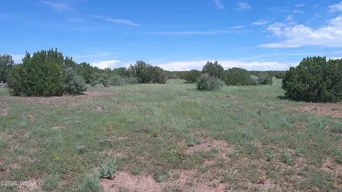 8571 Pine Ln, Snowflake, AZ 85937 photo 18
