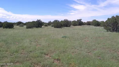 8571 Pine Ln, Snowflake, AZ 85937 photo 19