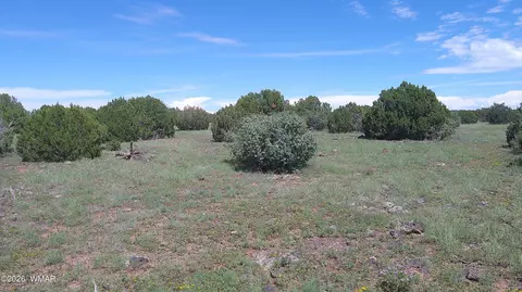 8571 Pine Ln, Snowflake, AZ 85937 photo 16