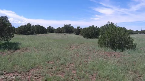 8571 Pine Ln, Snowflake, AZ 85937 photo 21