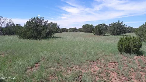 8571 Pine Ln, Snowflake, AZ 85937 photo 22