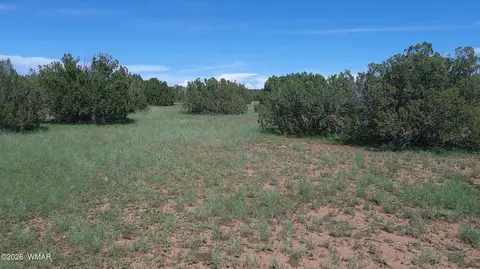 8577 Pine Ln, Snowflake, AZ 85937 photo 7