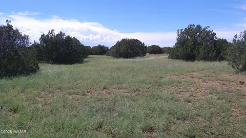 8577 Pine Ln, Snowflake, AZ 85937 photo 9