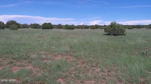 8577 Pine Ln, Snowflake, AZ 85937 photo 3