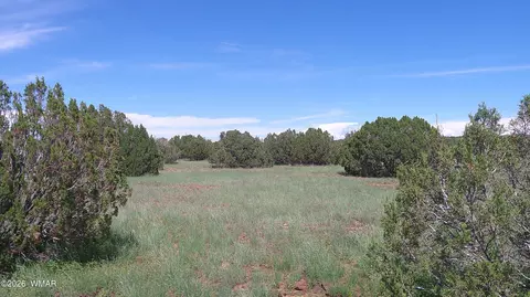 8577 Pine Ln, Snowflake, AZ 85937 photo 5
