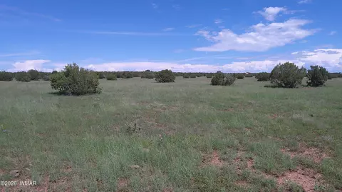 8577 Pine Ln, Snowflake, AZ 85937 photo 2