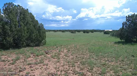 8577 Pine Ln, Snowflake, AZ 85937 photo 8