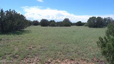 8577 Pine Ln, Snowflake, AZ 85937 photo 6