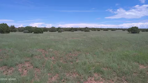 8577 Pine Ln, Snowflake, AZ 85937 photo 4