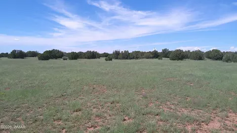 8577 Pine Ln, Snowflake, AZ 85937 photo 13