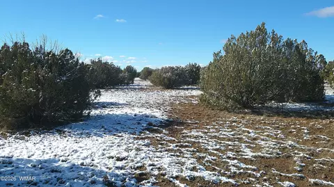 8577 Pine Ln, Snowflake, AZ 85937