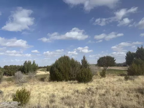 1956 Creekside Cir, Show Low, AZ 85901