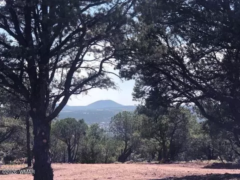 lot20 Mountain Pine Rd, Vernon, AZ 85940