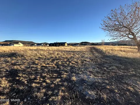 tbd 3rd Pl #LOT 126, Eagar, AZ 85925 photo 2