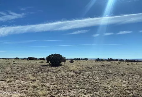 tbd Lot 372 Cr N7150, Saint Johns, AZ 85936